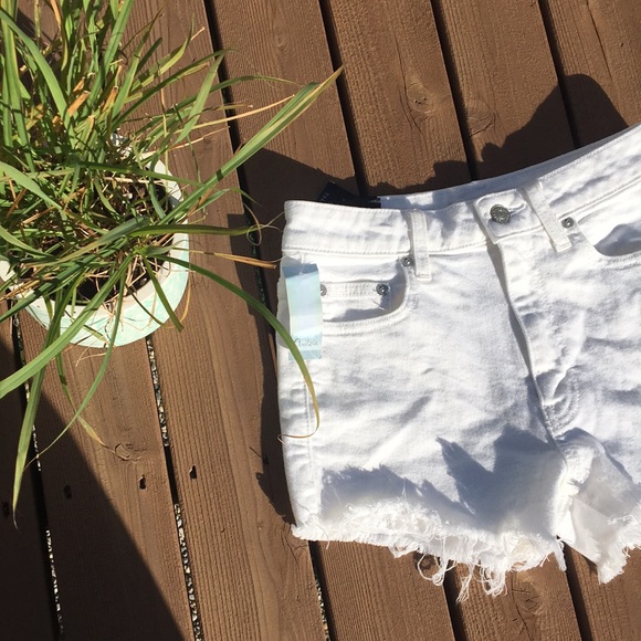 TALULAH Pants - Talula High Rise Shorts Festival Shorts